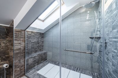 Glass Panel Shower Door